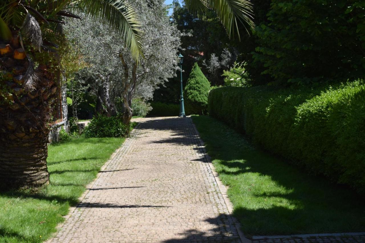 Quinta Da Boa Ventura Hotel Braganca Exterior photo